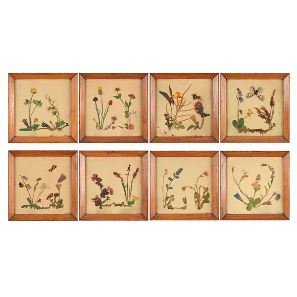 Otto pannelli con composizioni di fiori secchi, anni '60