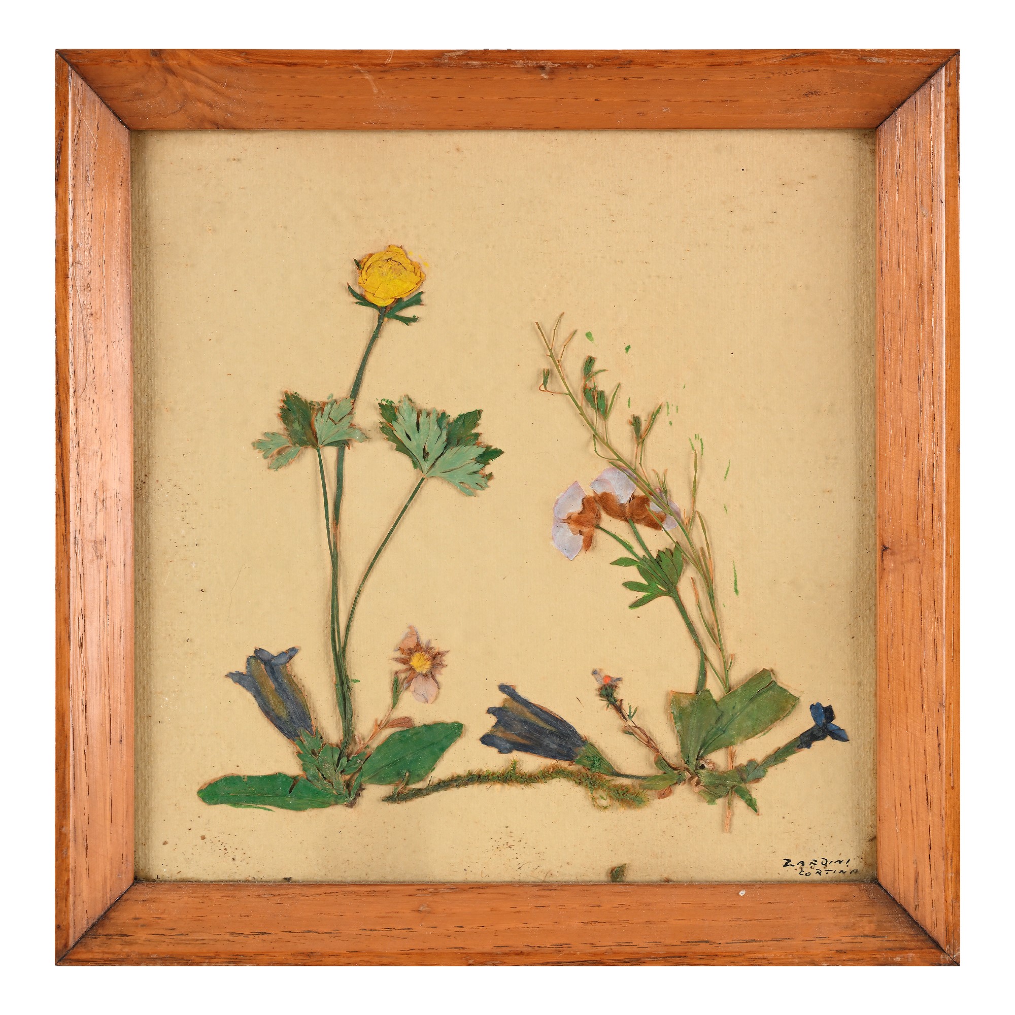 Otto Pannelli con Composizioni di Fiori Secchi, Anni '60