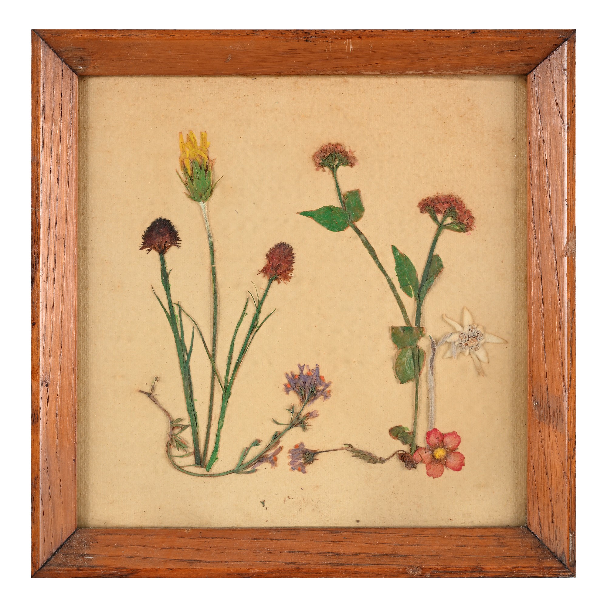 Otto Pannelli con Composizioni di Fiori Secchi, Anni '60