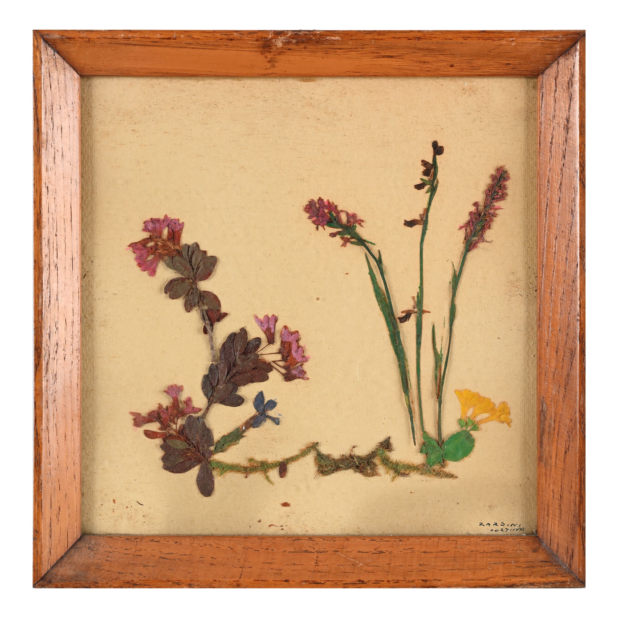 Otto Pannelli con Composizioni di Fiori Secchi, Anni '60