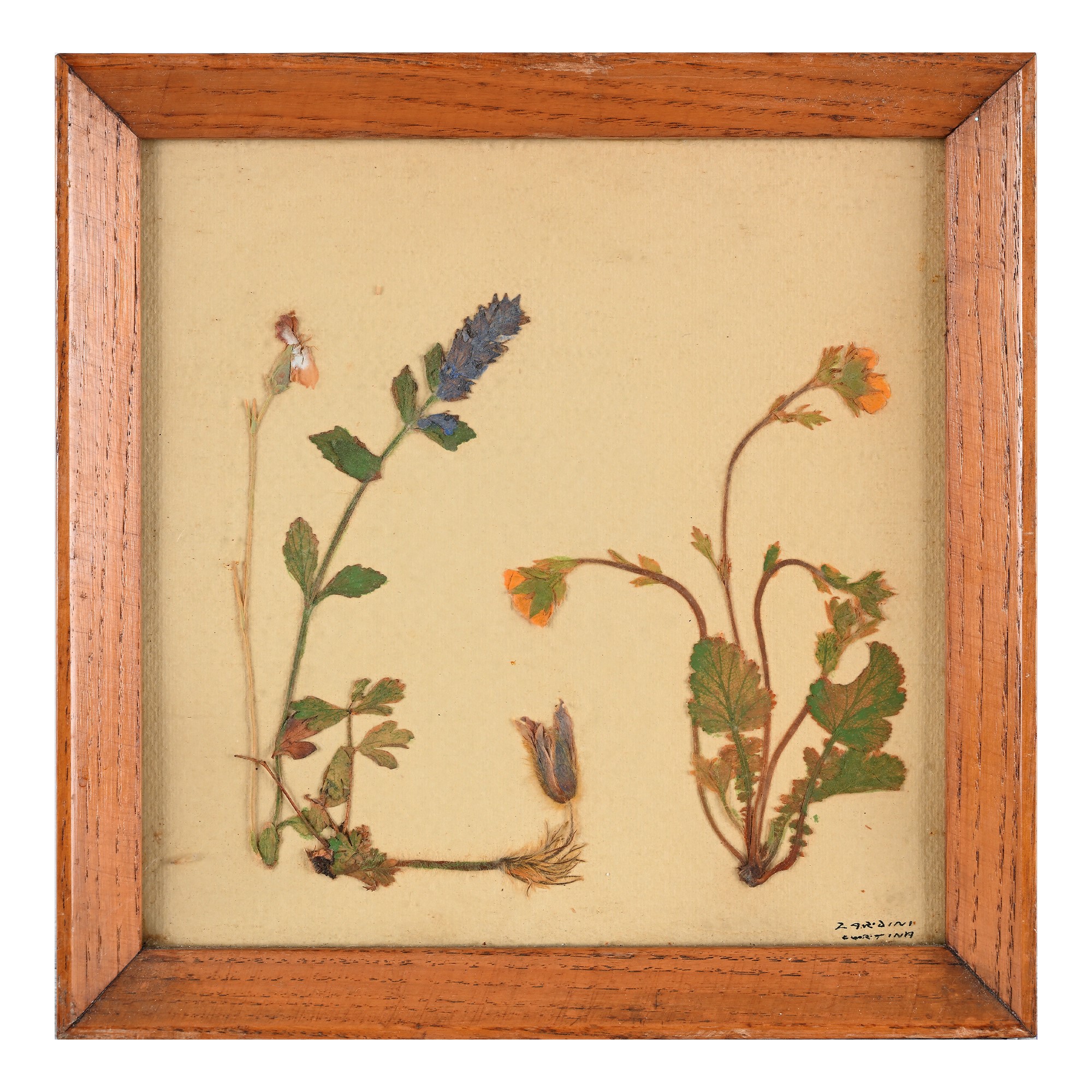 Otto Pannelli con Composizioni di Fiori Secchi, Anni '60