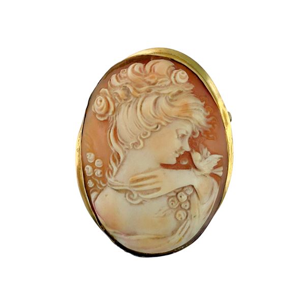 Cammeo in conchiglia