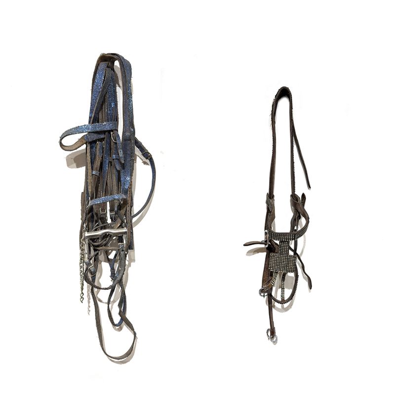 Due cavezze da cavallo in cuoio