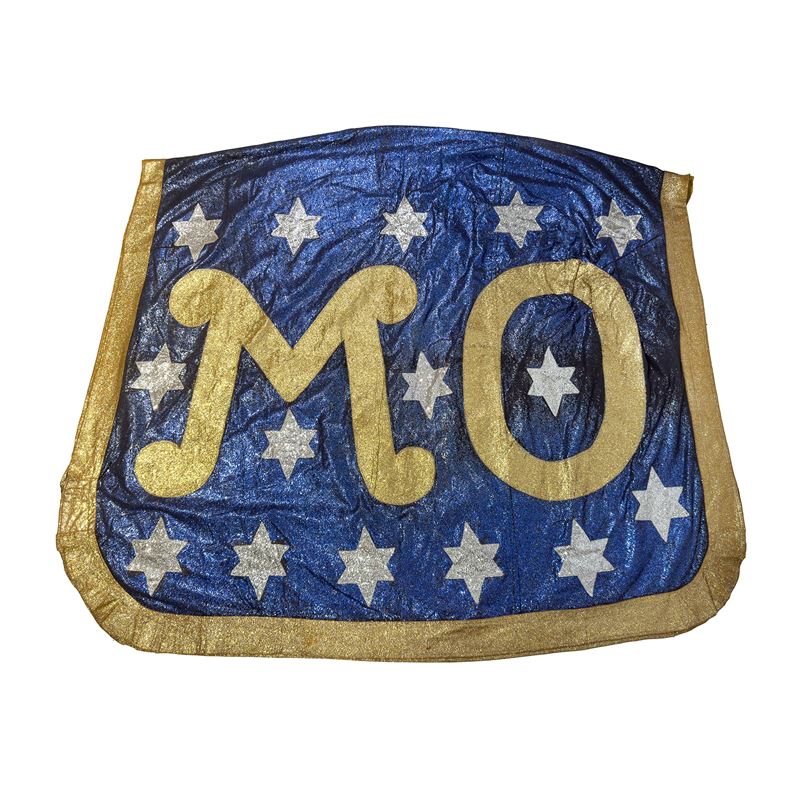 Coperta da elefante