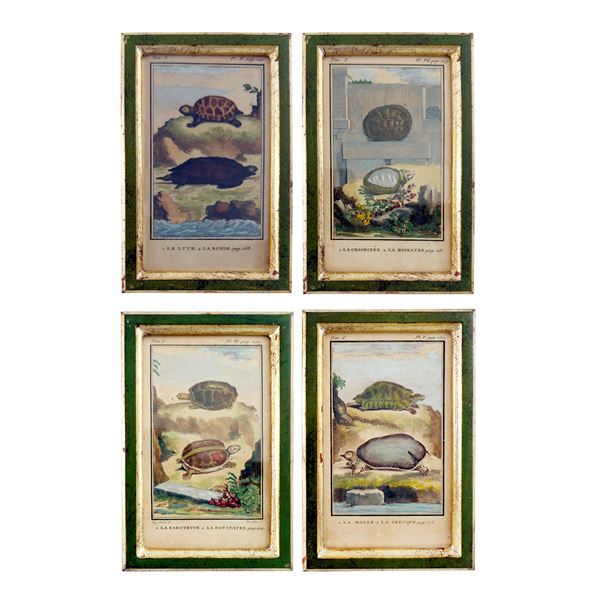 Quattro incisioni acquarellate, XVIII secolo