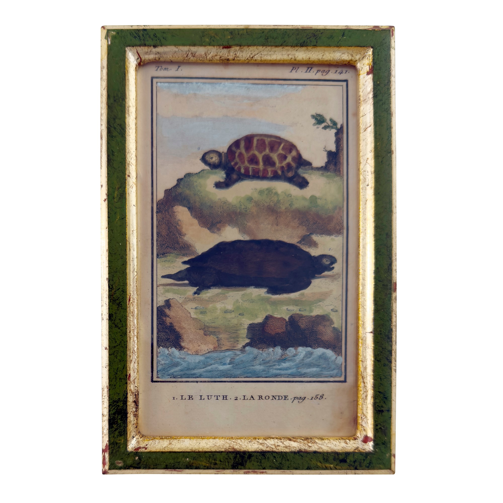 Quattro Incisioni Acquarellate, XVIII Secolo