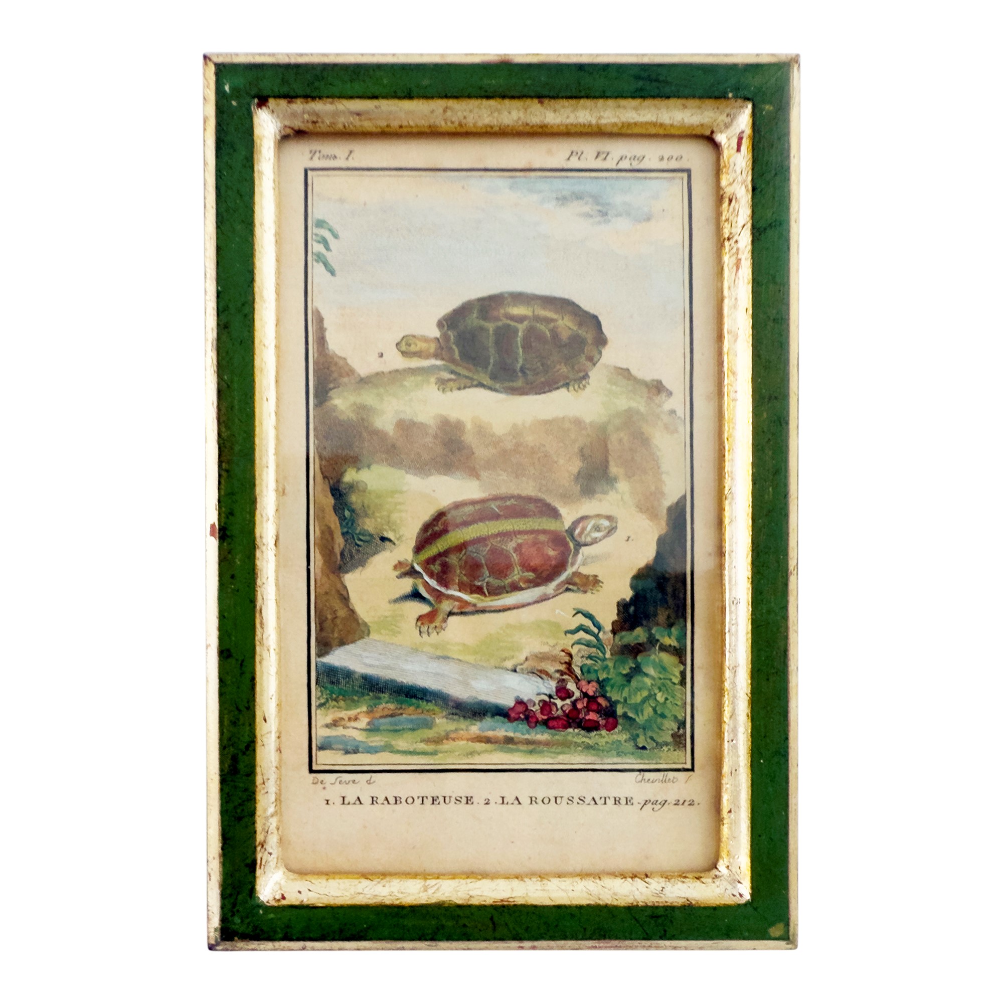 Quattro Incisioni Acquarellate, XVIII Secolo