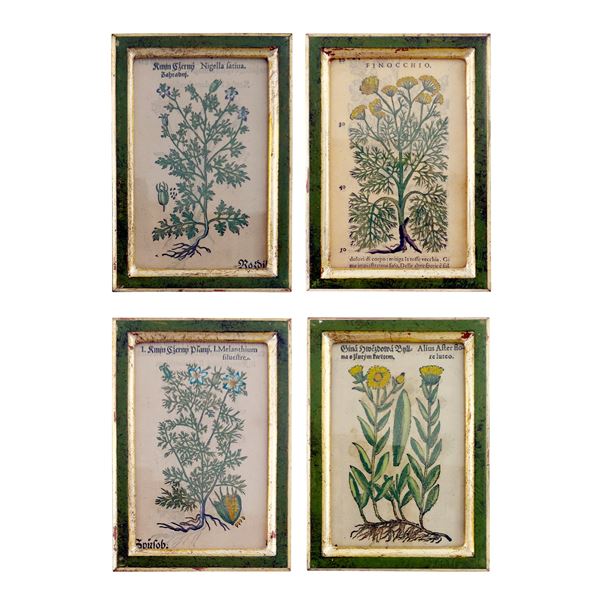 Quattro incisioni acquarellate, XVII secolo