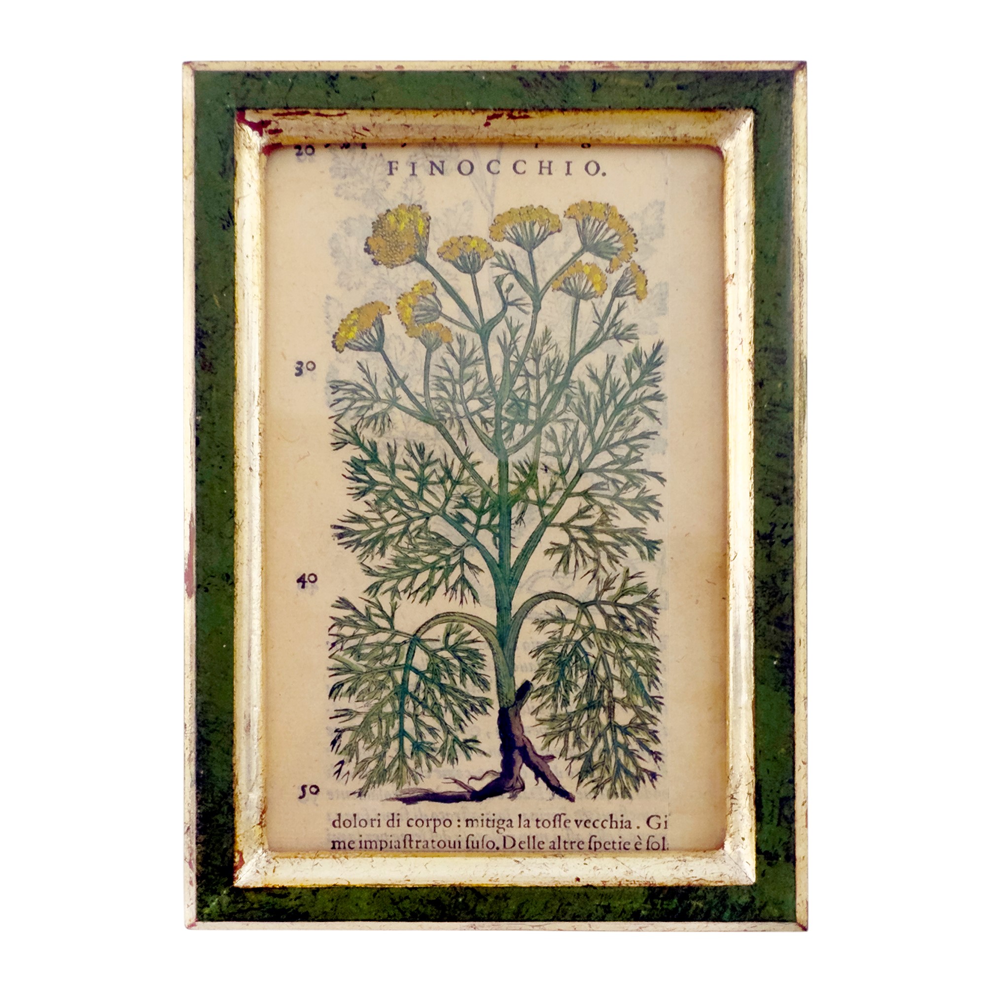 Quattro Incisioni Acquarellate, XVII Secolo