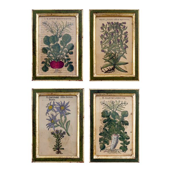 Quattro incisoni acquarellate, XVII secolo