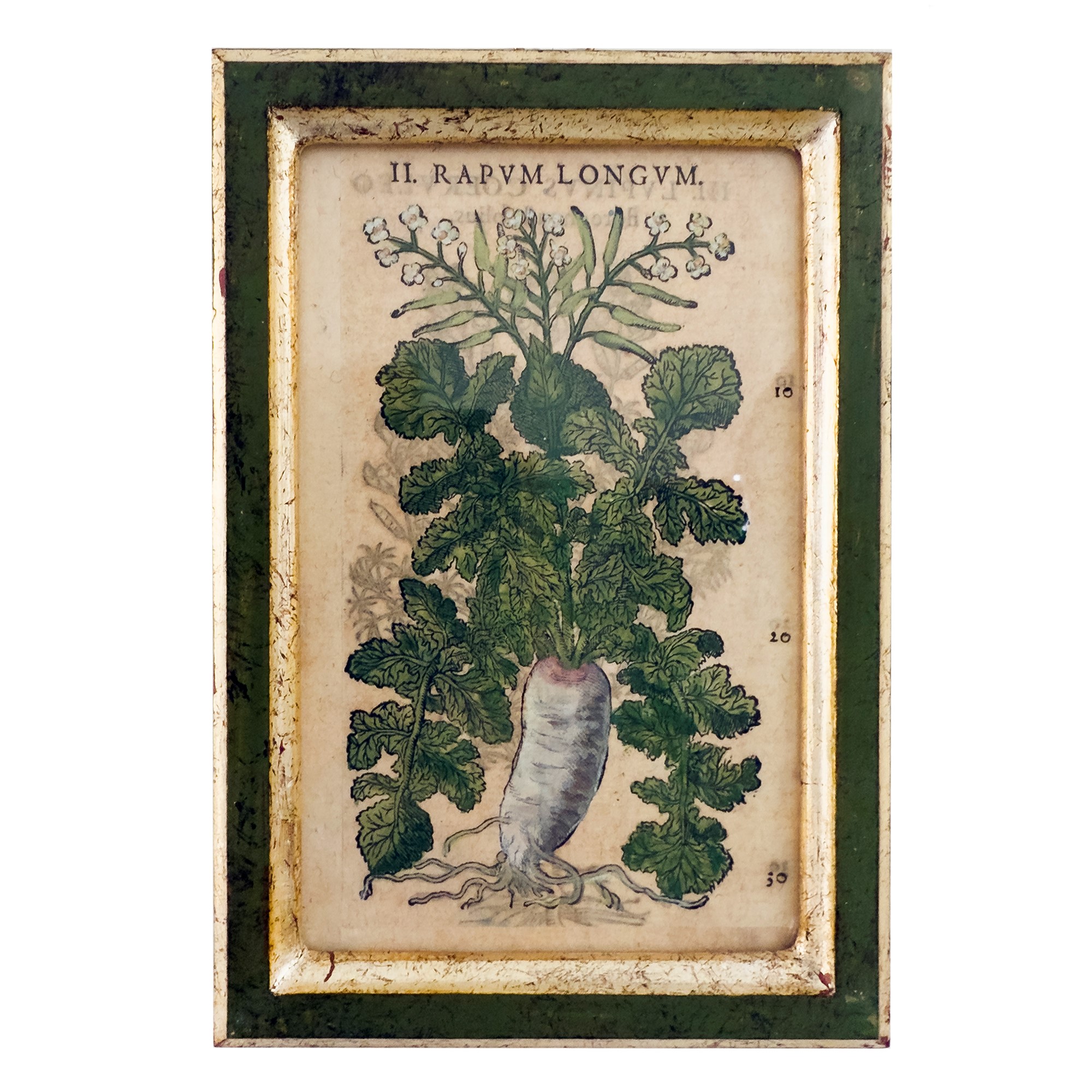 Quattro Incisoni Acquarellate, XVII Secolo