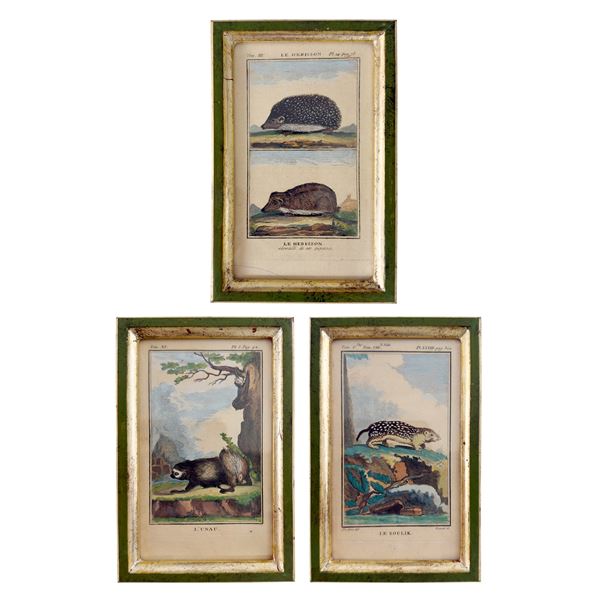 Tre incisioni acquarellate XVIII secolo