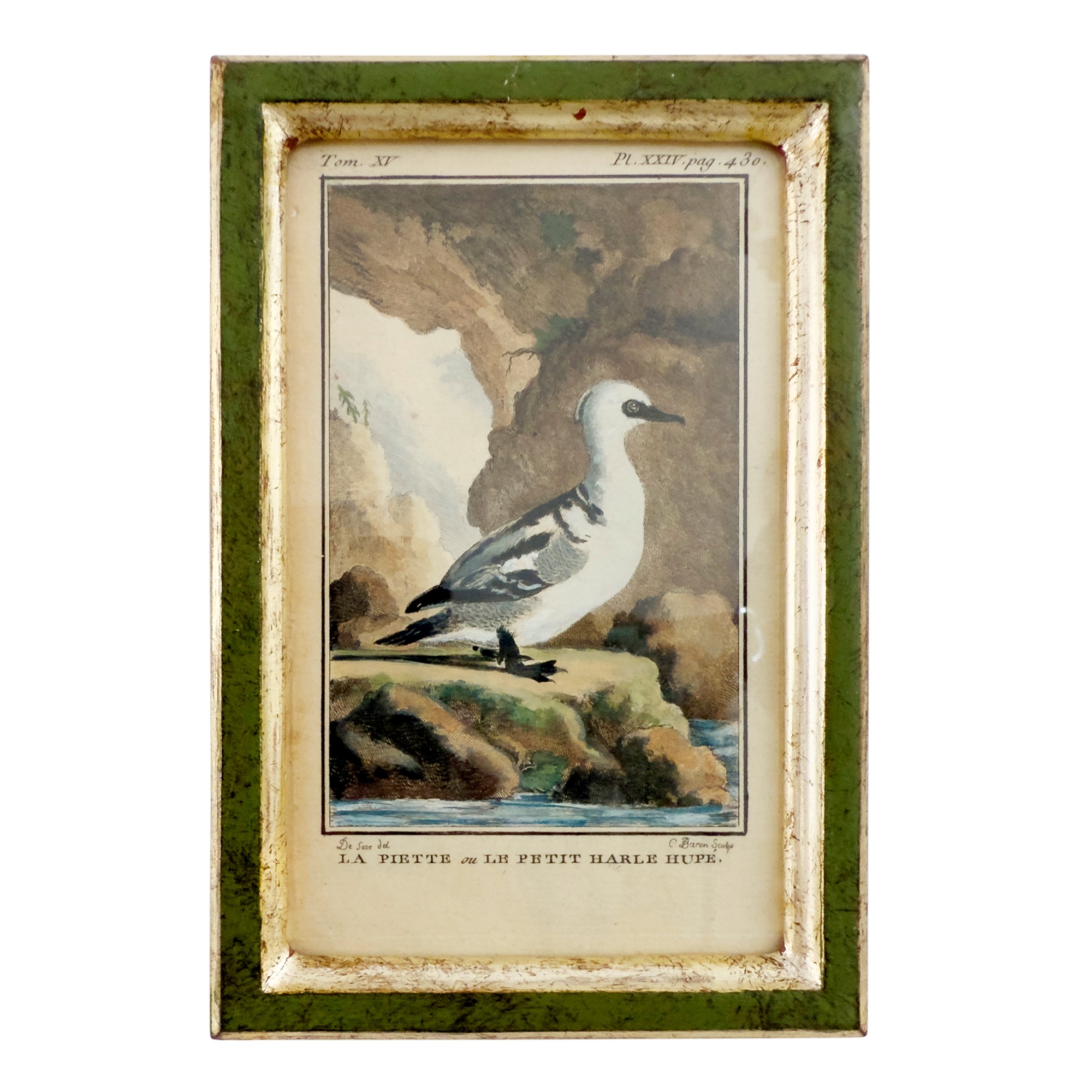 Quattro Incisioni Acquarellate, XVIII Secolo