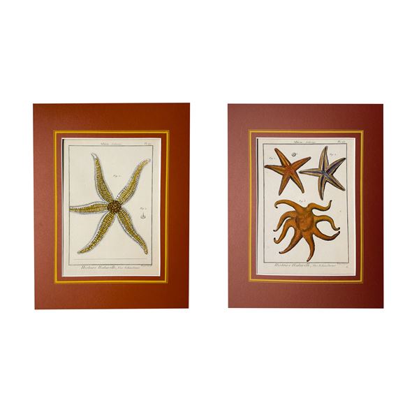 Due incisioni acquarellate, XVIII secolo