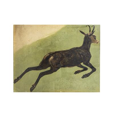 Giuseppe Palizzi (attr.), Capriolo, olio su cartone, cm. 40x50