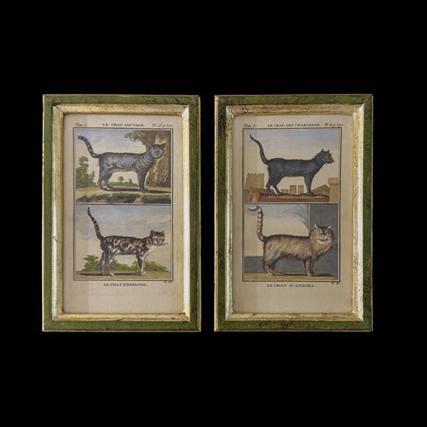 Due incisioni acquarellate, XVIII secolo