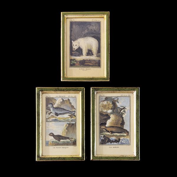 Tre incisioni acquarellate, XVIII secolo