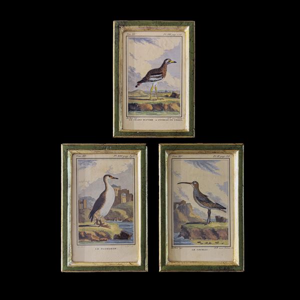 Tre incisioni acquarellate, XVIII secolo