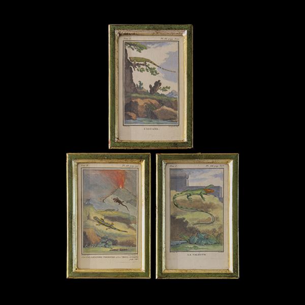 Tre incisioni acquarellate, XVIII secolo