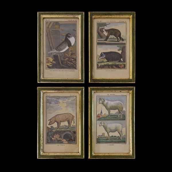 Quattro incisioni acquarellate, XVIII secolo