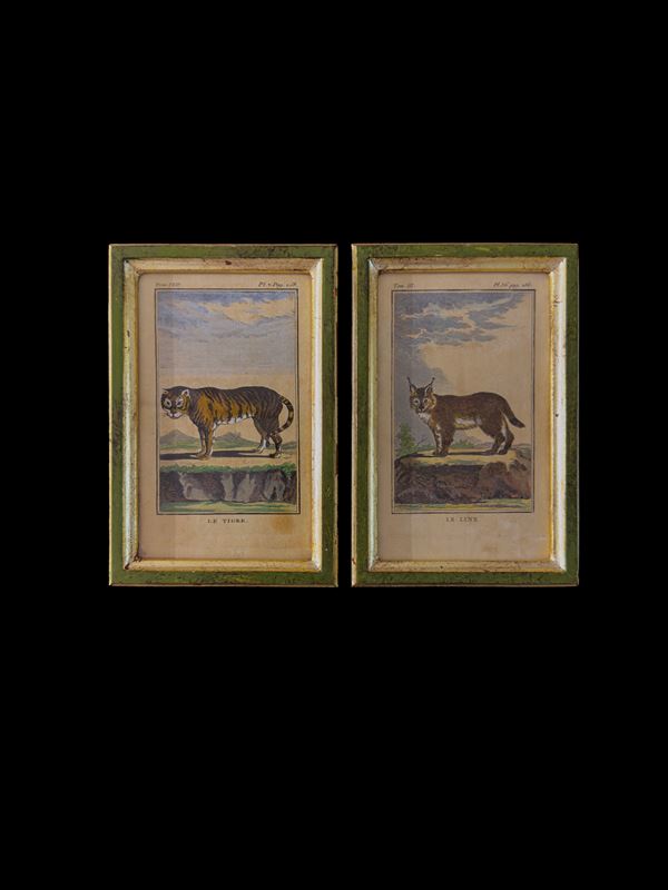 Due incisioni acquarellate, XVIII secolo