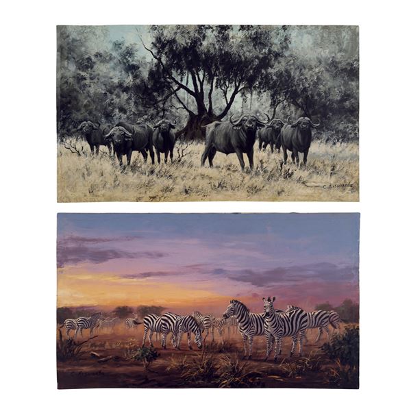Constantine Kiswanta, Bufali / Zebre