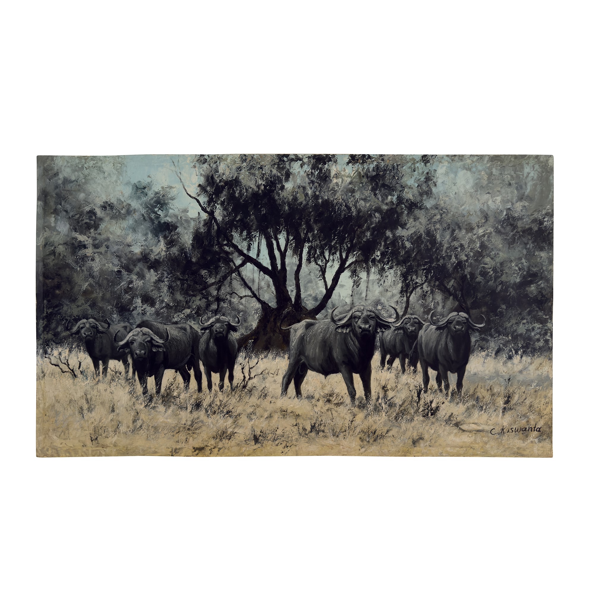 Constantine Kiswanta, Bufali / Zebre