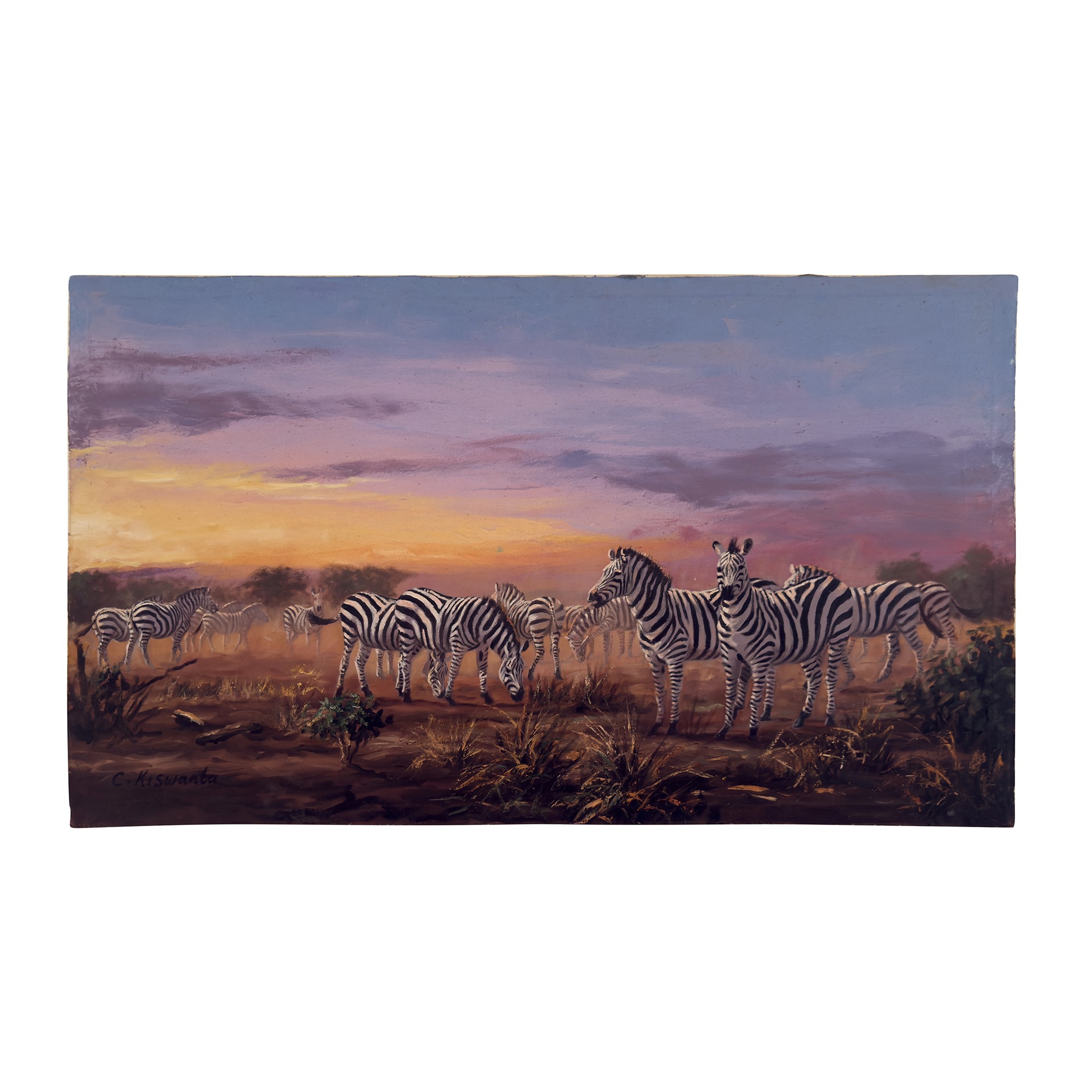 Constantine Kiswanta, Bufali / Zebre