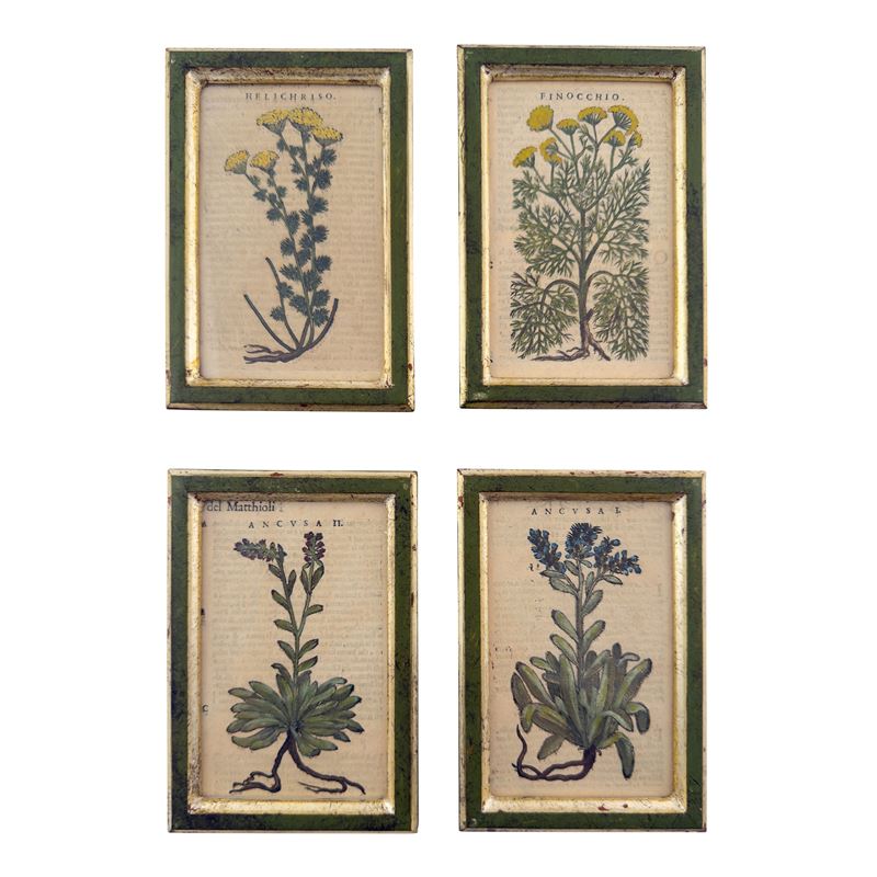 Quattro incisioni acquarellate, XVII secolo