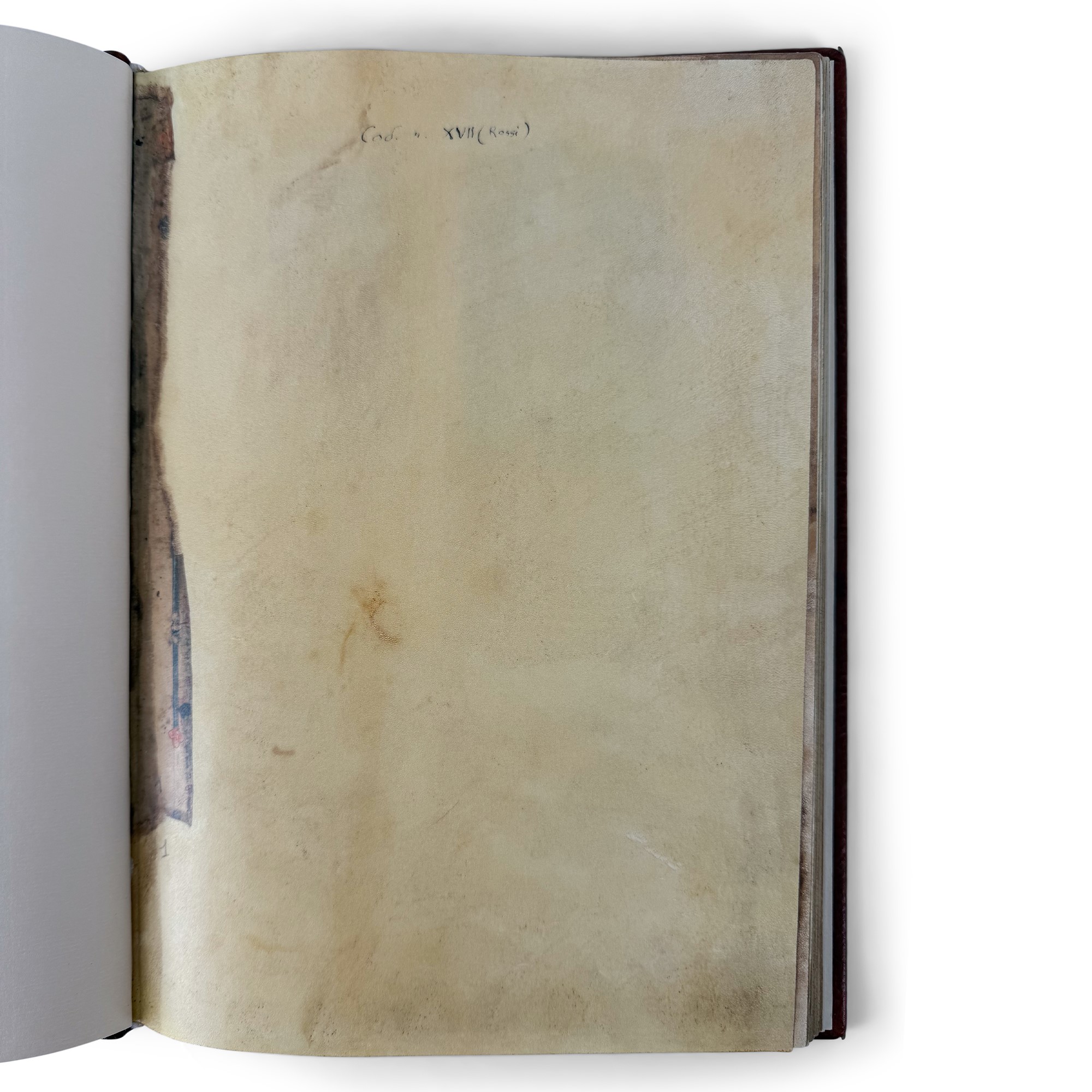 Storie di S.Francesco