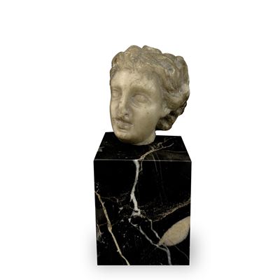 Testa femminile in marmo bianco, XVII secolo, con base in marmo portoro