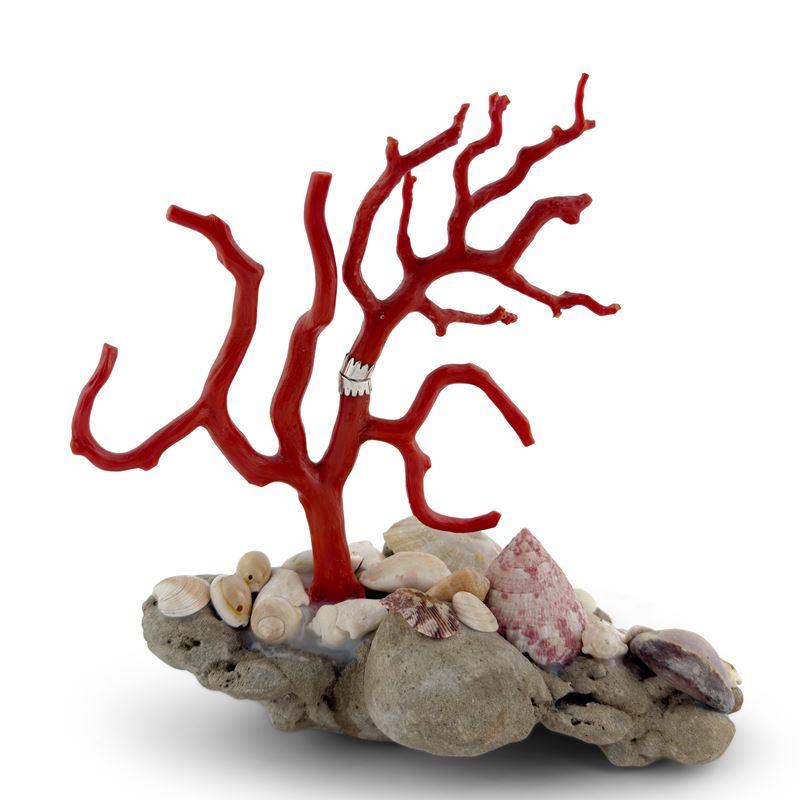 Ramo di corallo su fondale marino simulato