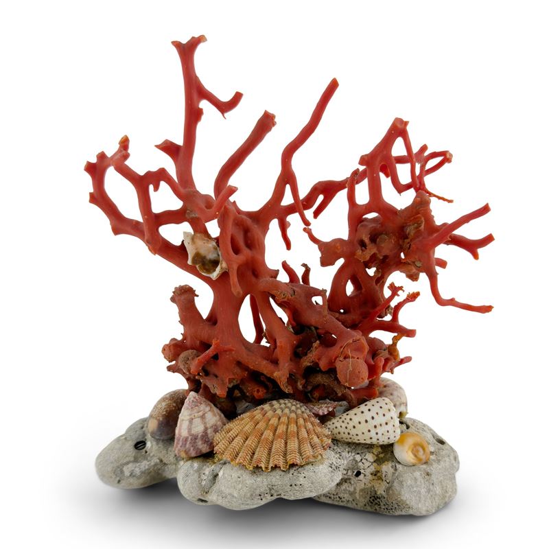 Ramo di corallo su fondale marino simulato