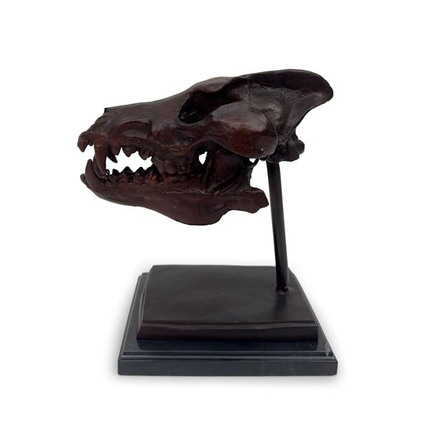 Bucrano in bronzo patinato