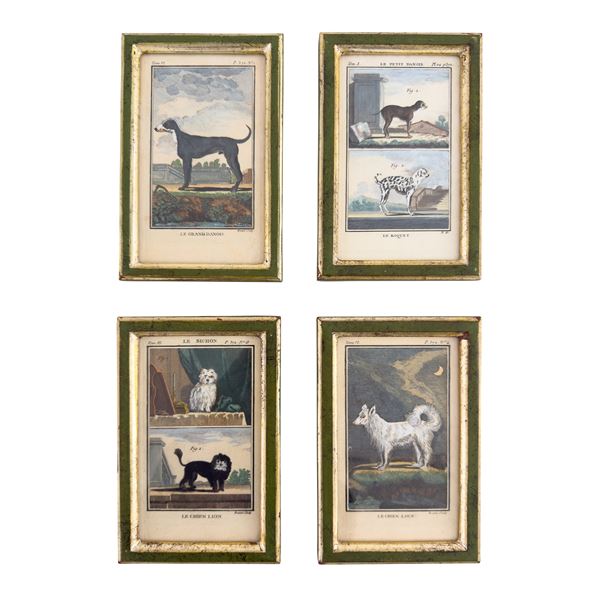 Quattro incisioni acquarellate, XVIII secolo