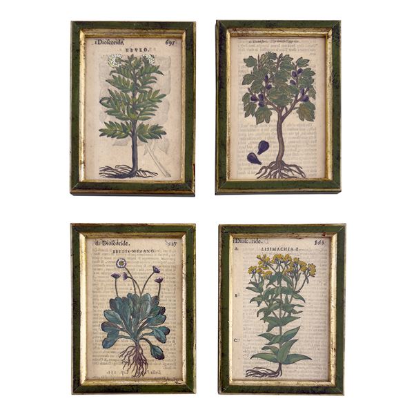 Quattro incisioni acquarellate, XVII secolo