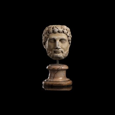 Testa virile barbuta, marmo statuario con base circolare in marmo giallo antico