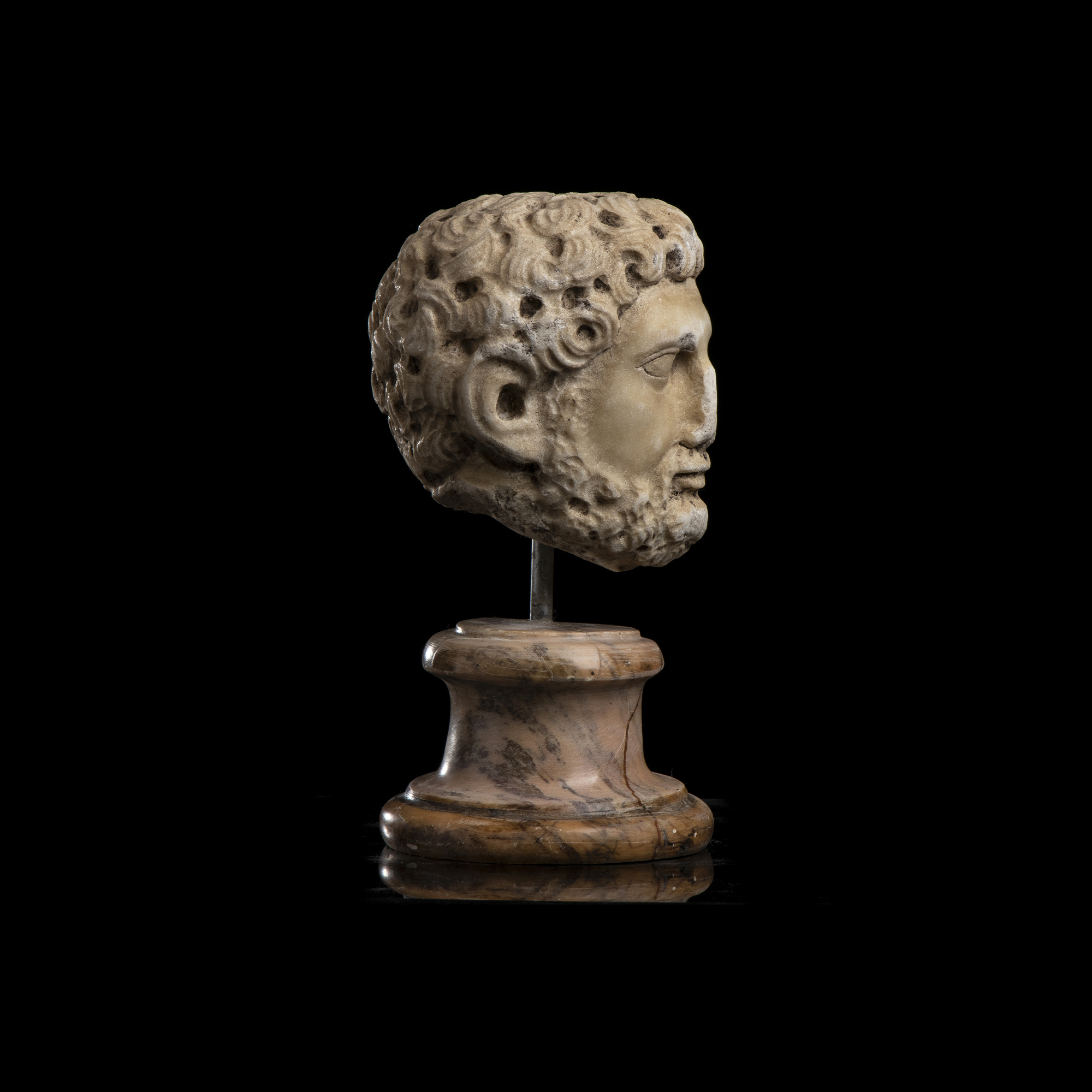 Testa virile barbuta, marmo statuario con base circolare in marmo giallo antico