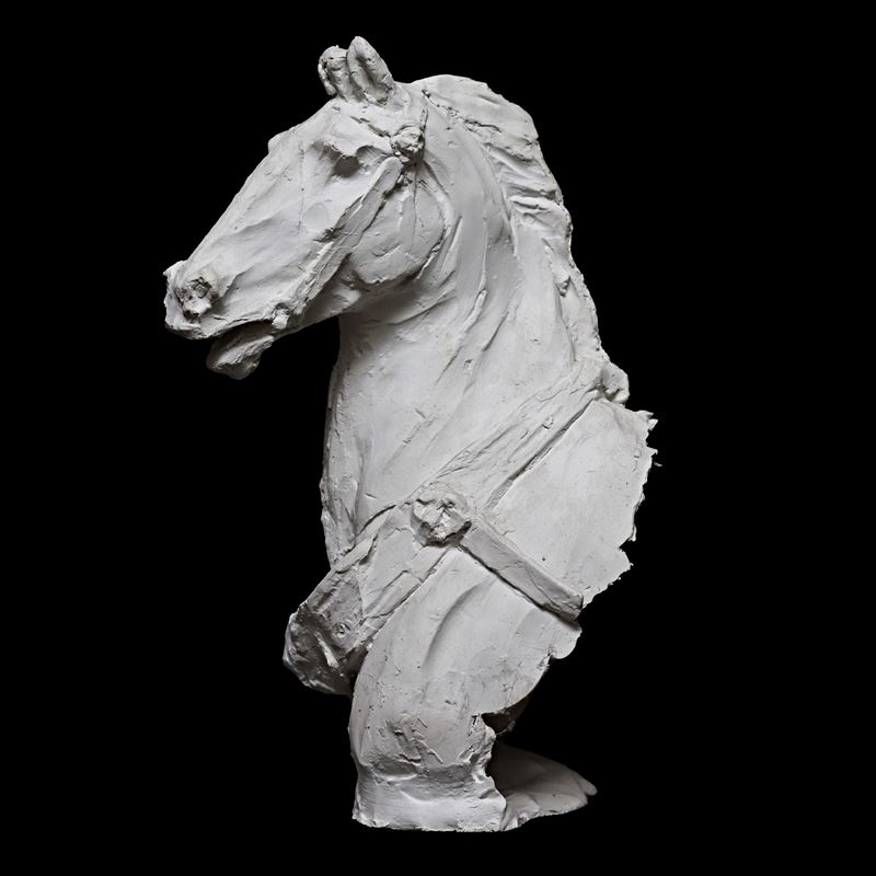Testa di cavallo in gesso