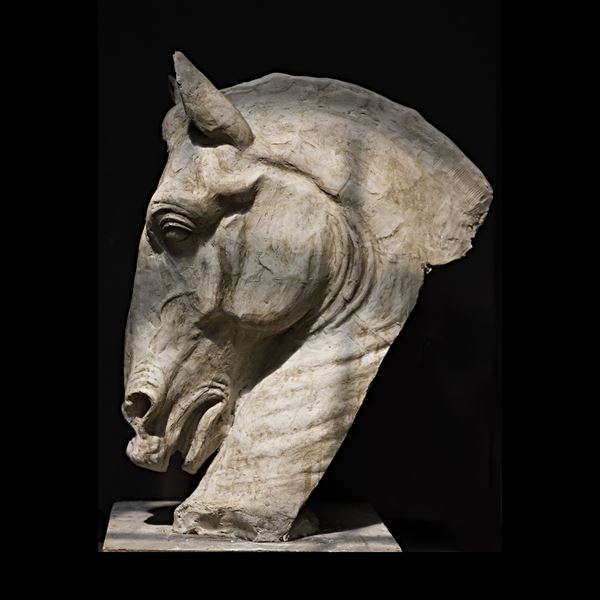 Testa di cavallo in gesso
