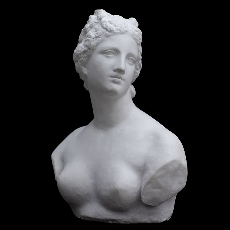 Venere de' Medici, scultura in gesso