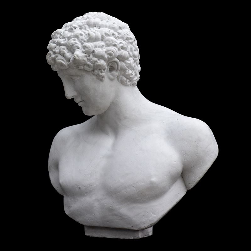 Antinoo, scultura in gesso