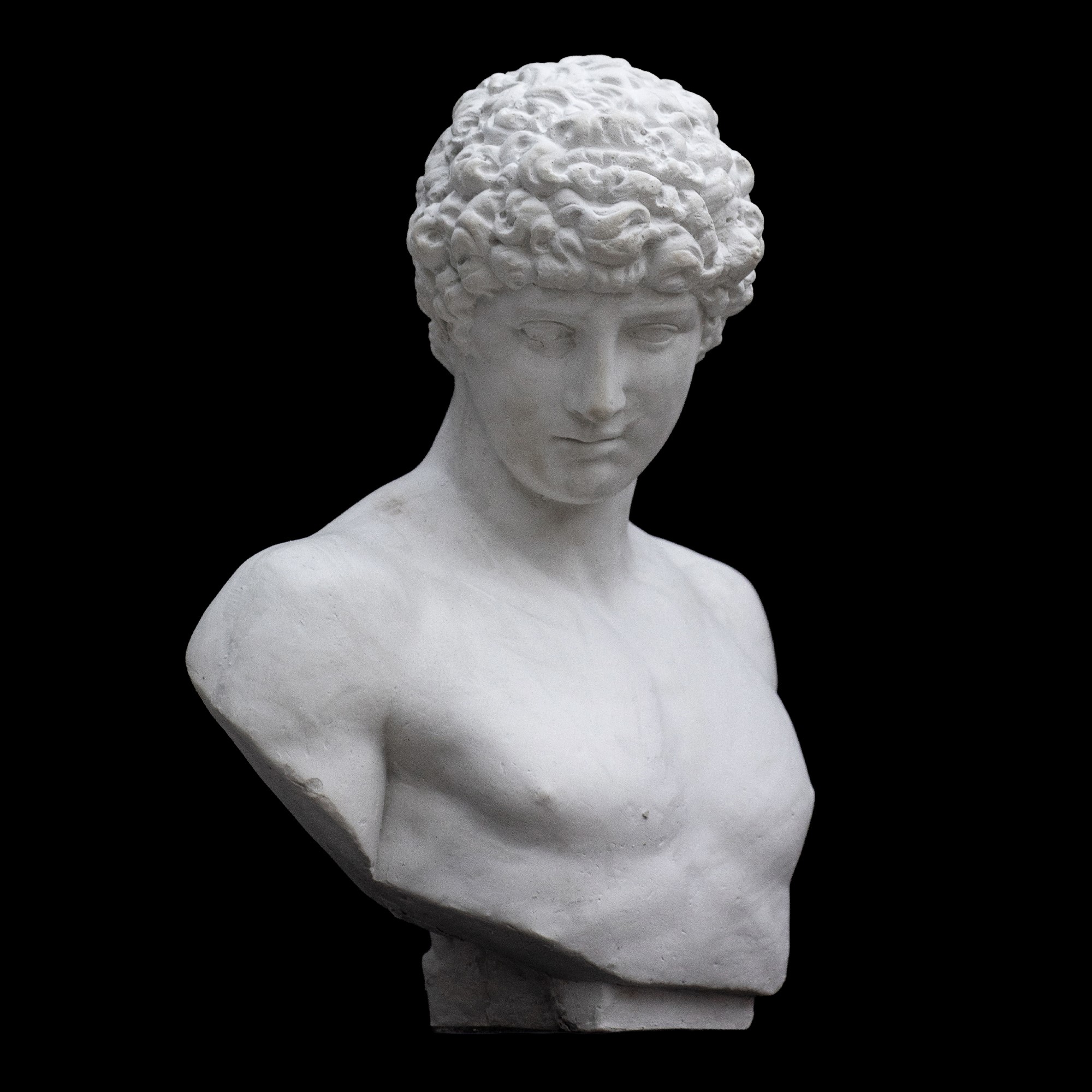 Antinoo, scultura in gesso
