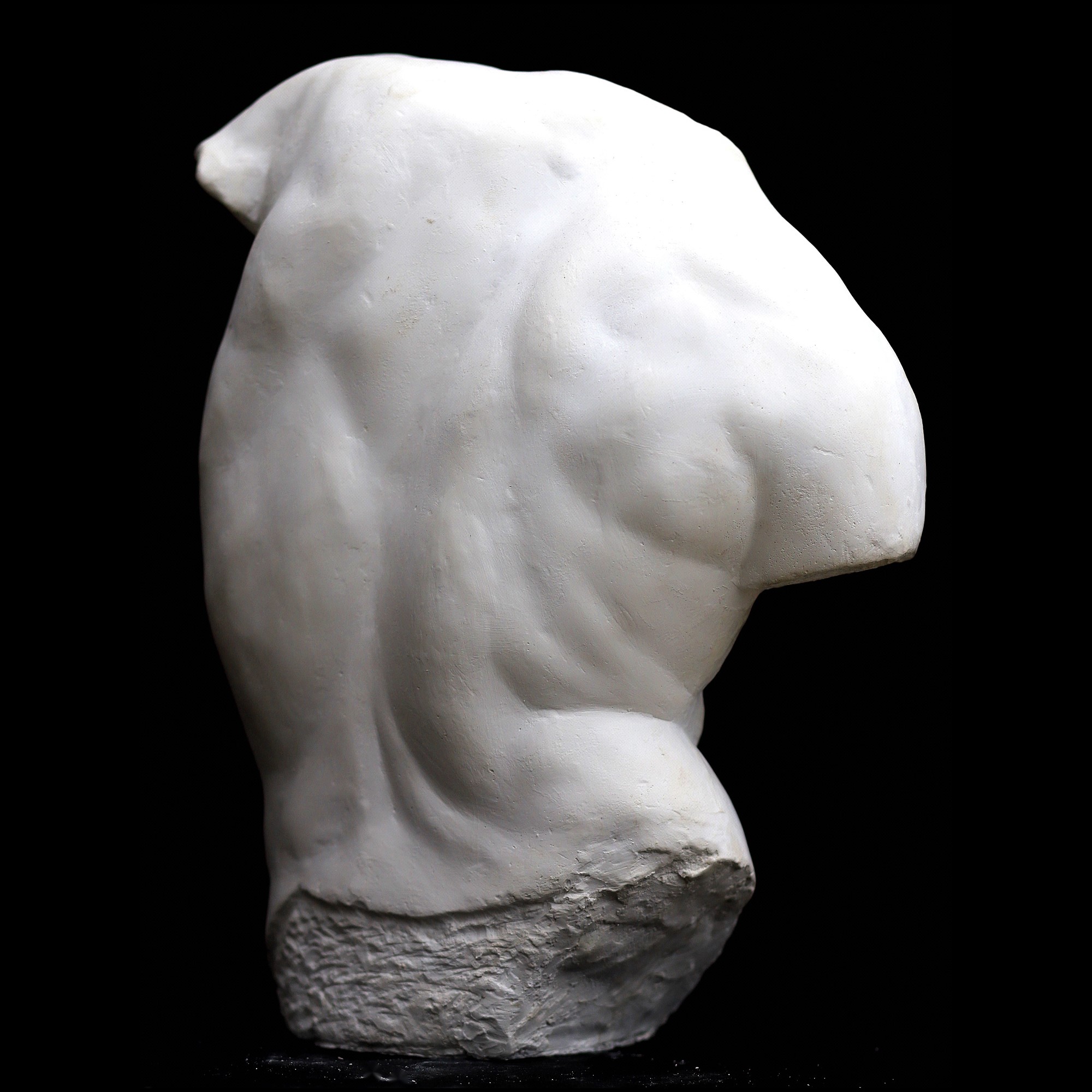 Torso Gaddi, scultura in gesso