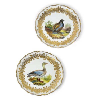Vienna, Coppia di piatti in porcellana bianca, dorata e policroma con decori dipinti di anatra e ...
