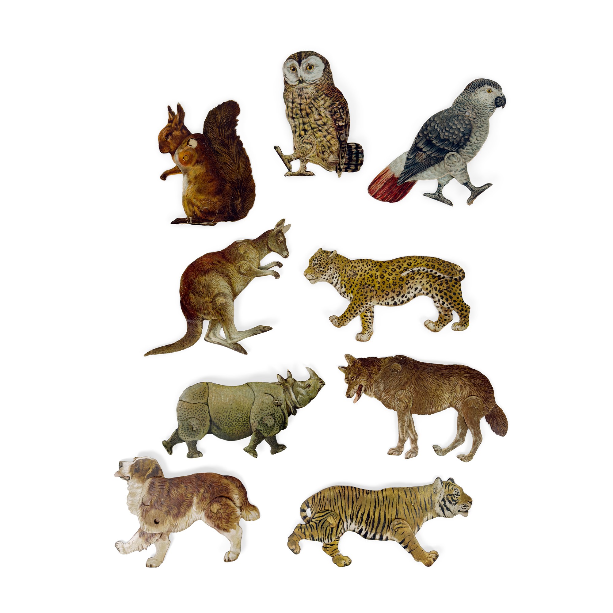 34 modellini didattici di animali in cartone policromo, Raphael Tuck&Sons, inizi del XX secolo