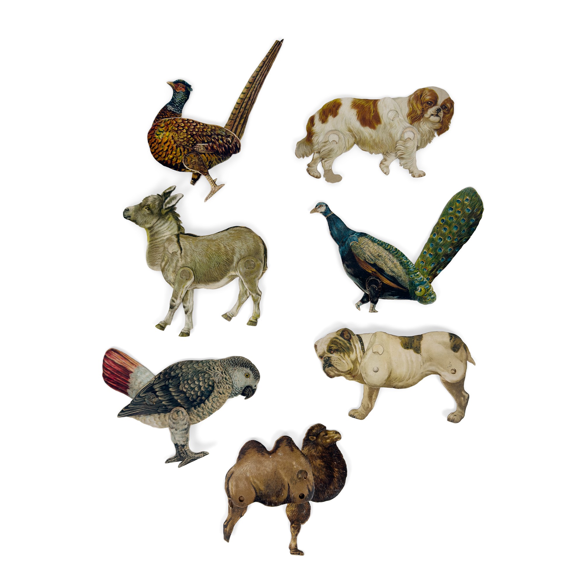 34 modellini didattici di animali in cartone policromo, Raphael Tuck&Sons, inizi del XX secolo