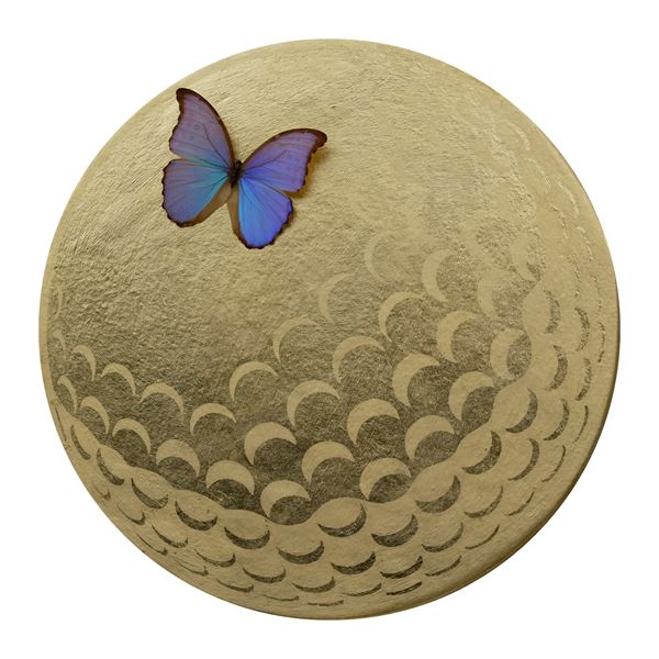 Francesco Astiaso Garcia