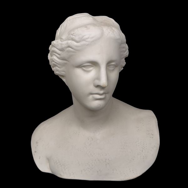Busto di Venere in gesso
